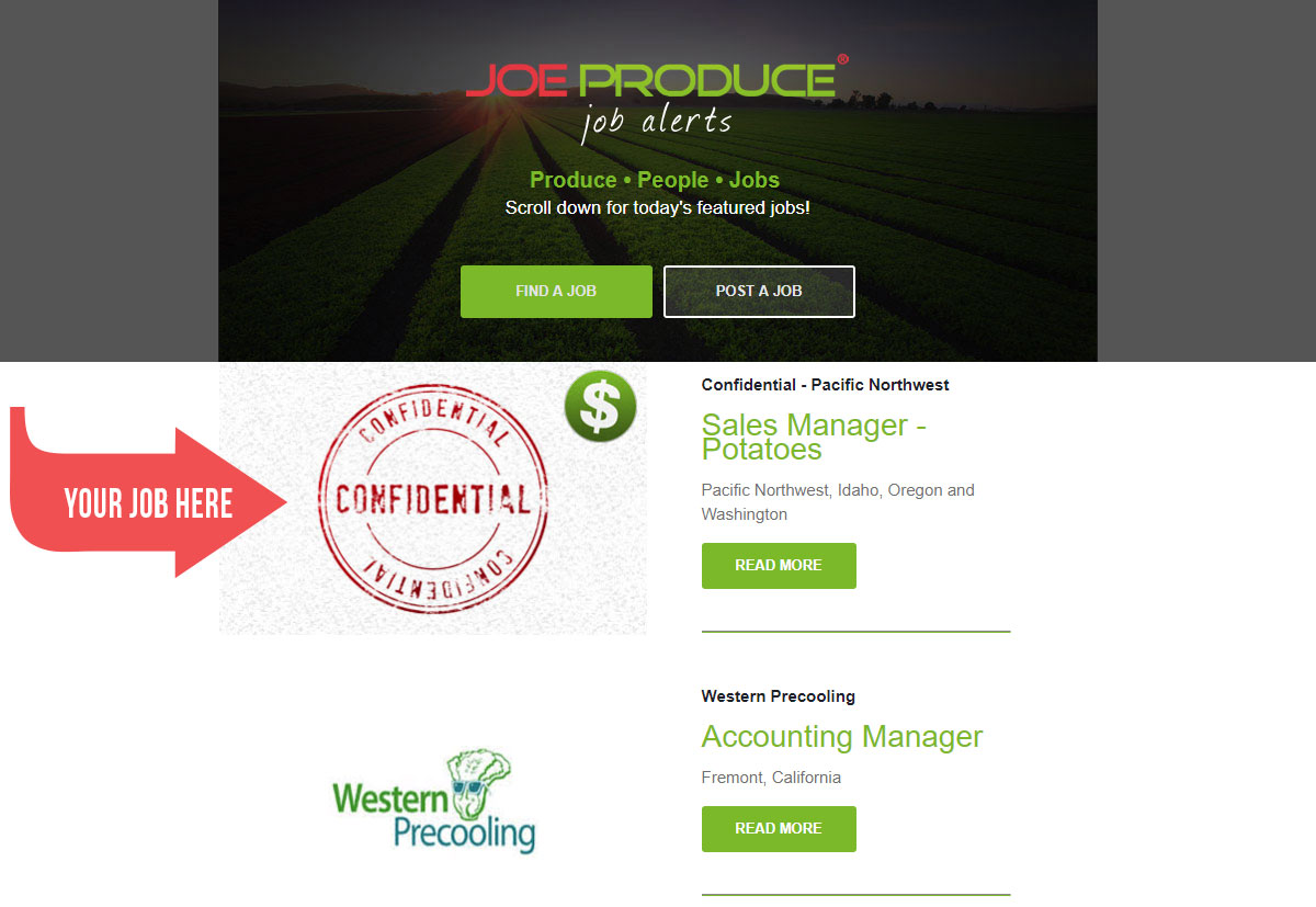 Joe produce job alert placement example