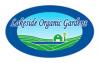 Lakeside Organic Gardens's picture