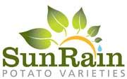 SunRain Potato Varieties's picture