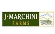 J. Marchini Farms's picture