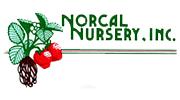 Norcal Nursery, Inc.'s picture